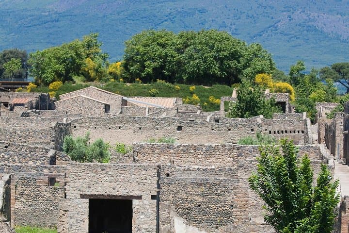 Pompeii trip from Sorrento