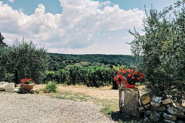Half day experience for Lunch and Wine tasting around S.Gimignano