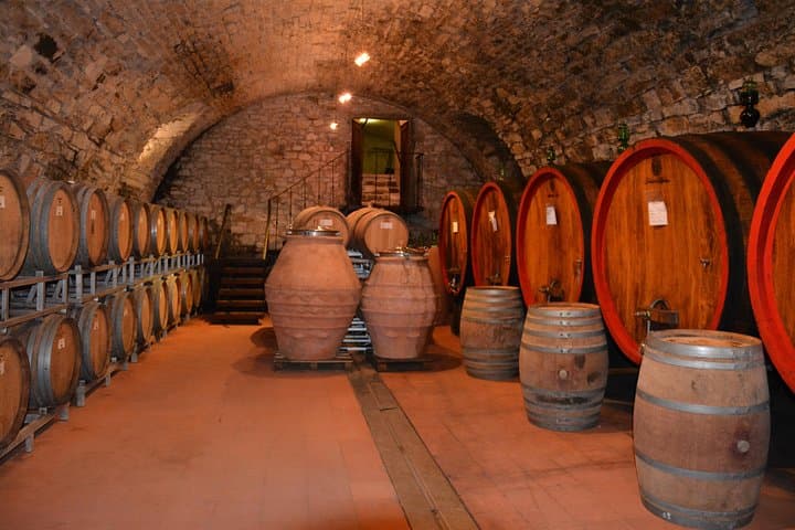 Cellar