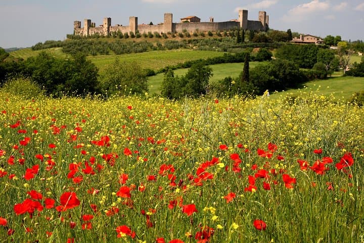 Monteriggioni fortress