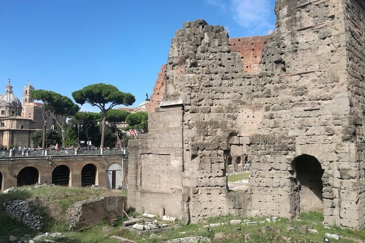 Rome Private Tour from Civitavecchia Cruise Port