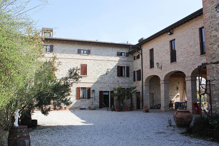 PRIVATE Owner-Led Balsamic Tour & Tasting in Vignola, Modena