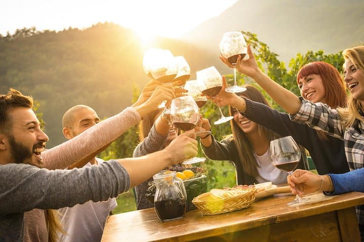 Private Grape stomping in Chianti from Florence