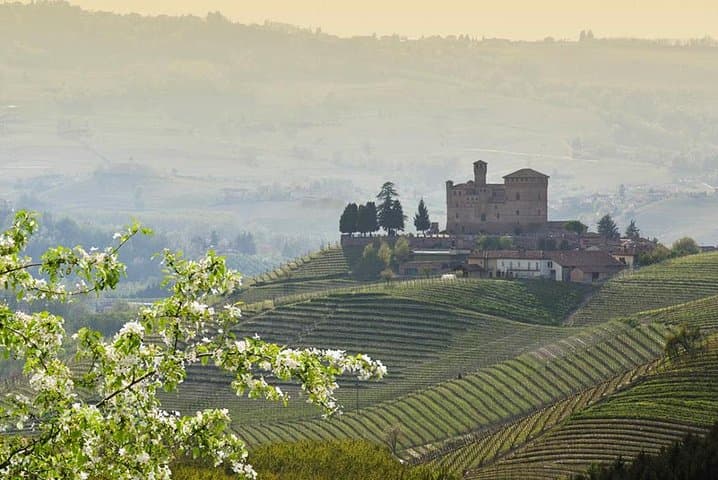 Piedmont Winery Tour: Taste Barolo, Barbaresco & Traditional Food
