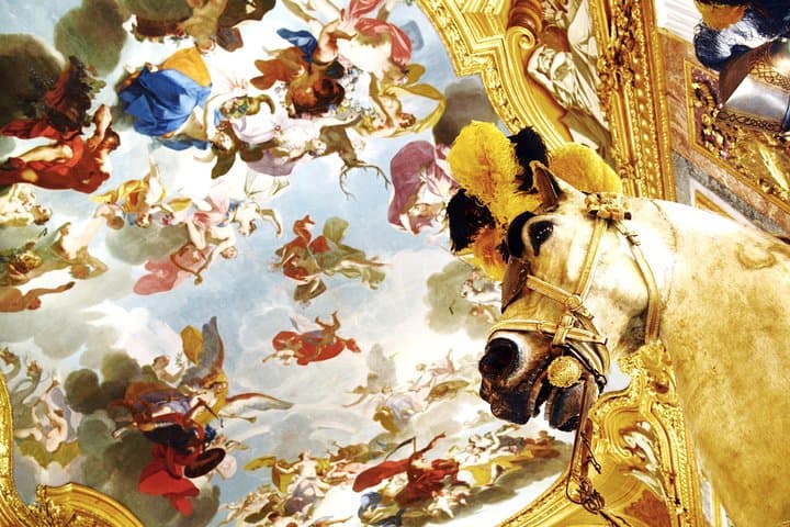 Private Turin Royal Palace Tour with Holy Shroud Chapel