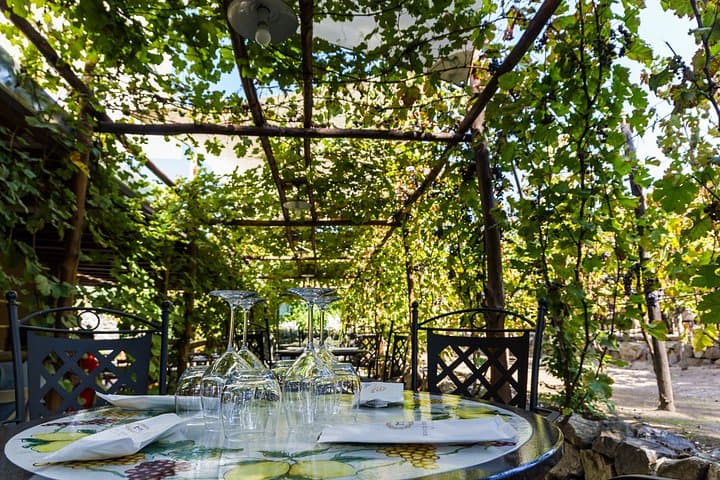 tasting in the vineyard