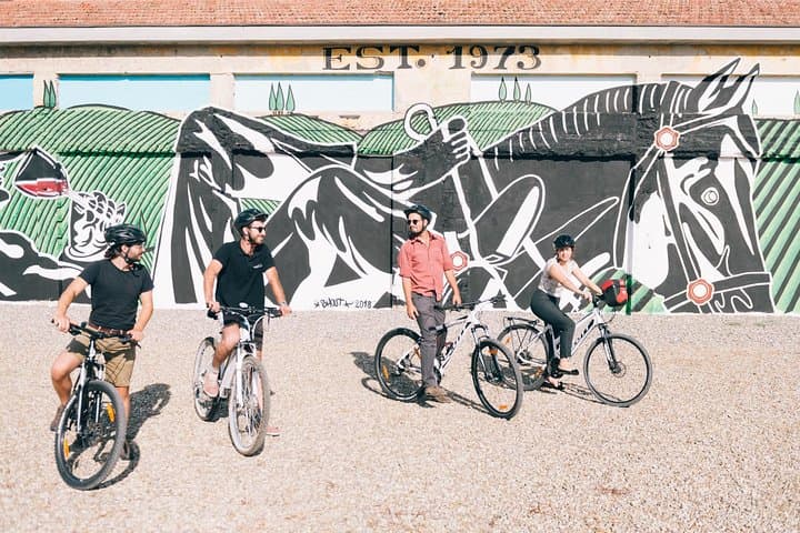 Private Ebike Tour in Chianti