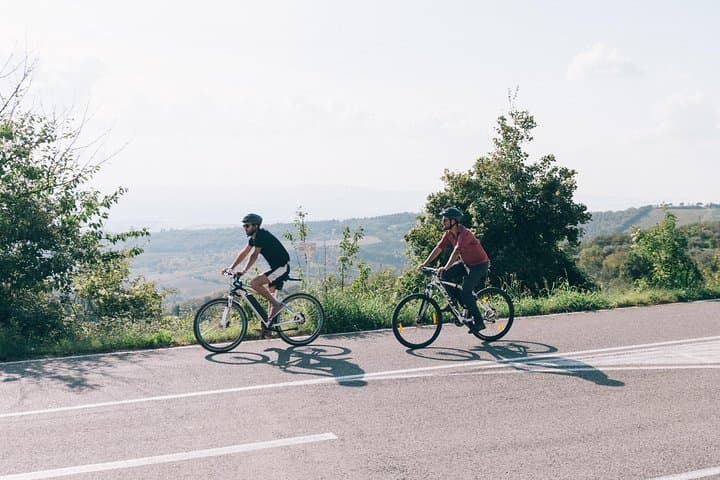 Private Ebike Tour in Chianti