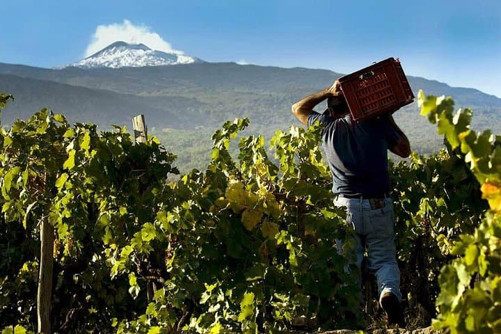 Harvest