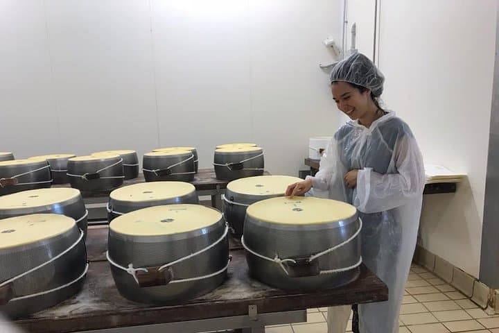 One of the important step in the production of Parmigiano Reggiano