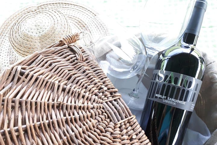 Pic nic in th Vineyards