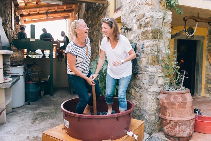 Private Grape stomping in Chianti from Siena