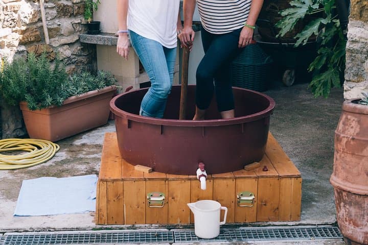 Private Grape stomping in Chianti from Siena