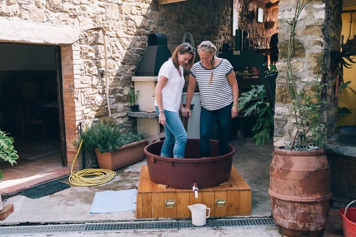 Private Grape stomping in Chianti from Florence