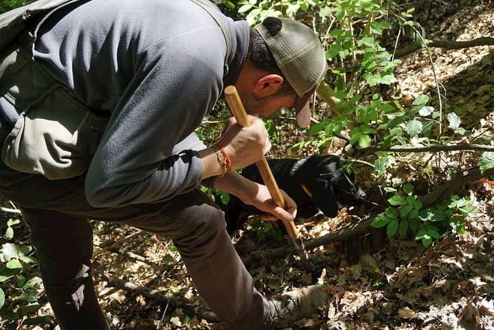 Private Truffle Hunting in Chianti from Florence