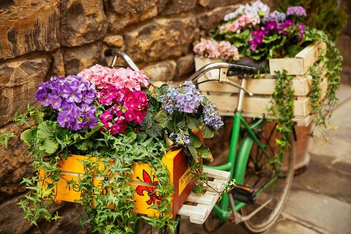 Enjoy this private food tour of Siena with a local foodie host
