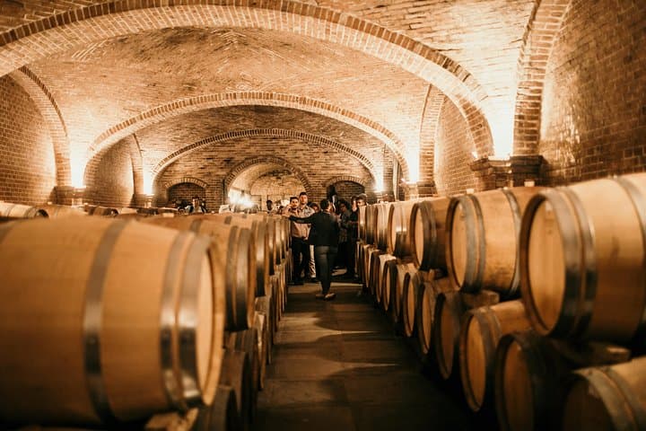 Roero Winery Visit