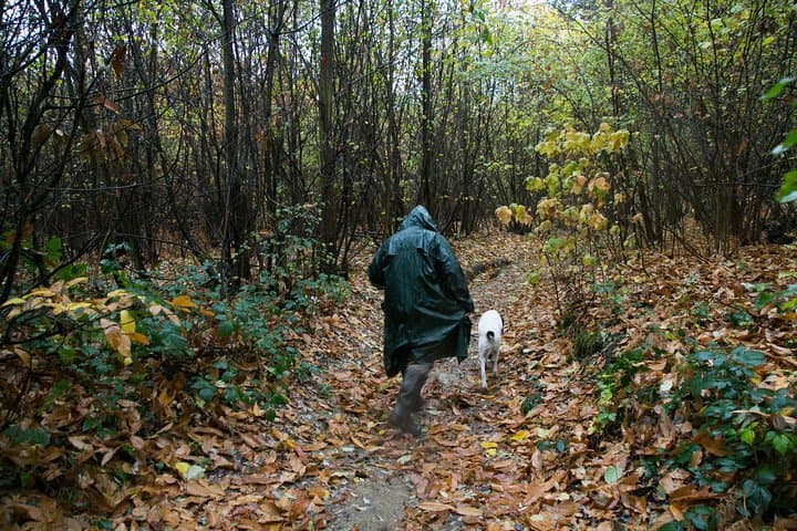 Truffle Hunting