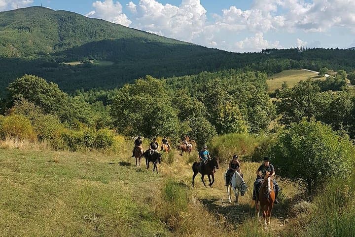Half-Day Horseback Ride in Tuscany