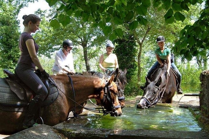 Half-Day Horseback Ride in Tuscany