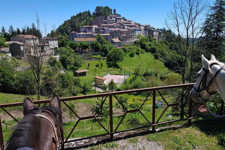 Half-Day Horseback Ride in Tuscany for beginner riders