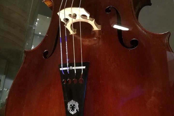 Violin