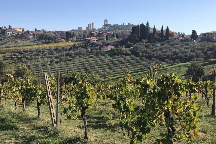 San Gimignano View