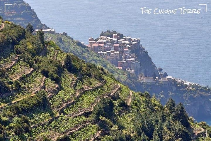 Cinque Terre Views