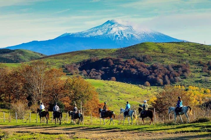 Private Horseback Riding Tour on Etna Area + Traditional Lunch