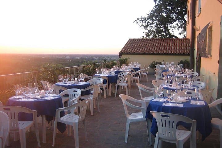 Bologna Hills: Organic DOCG Wine Tasting & Winery Tour