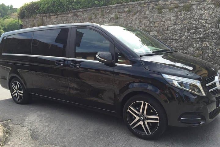 THE MINIVAN