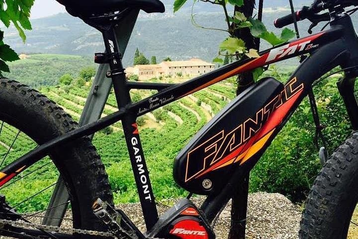 Fat E-bike