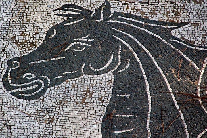Ancient Ostia from Rome: Archaeology & History, Semi-Private Tour