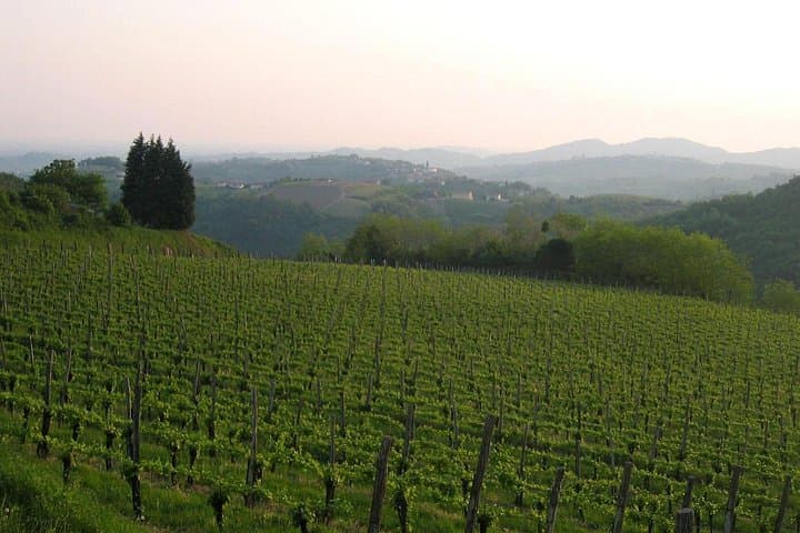 Collio
