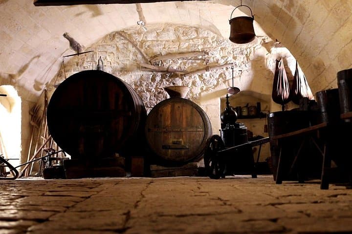 Guided tour and tasting at La Cantina Frrud - Wine Museum