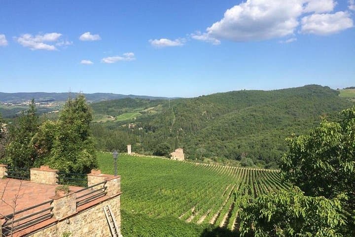 cortona wine tour