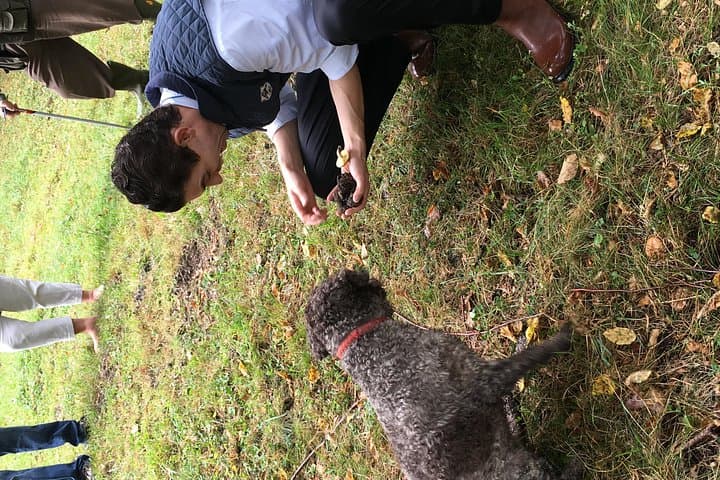 Private Hunting Of Truffle And Mushrooms With Chef Luigi Gandola In Bellagio