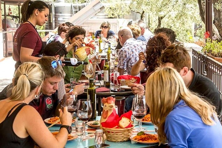 Organic Wine Tasting & Lunch on Vesuvius with Transfer from Sorrento Peninsula