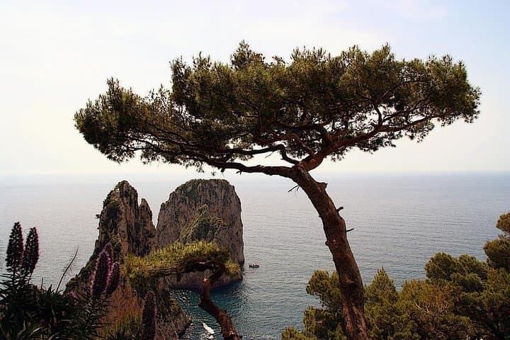 Vista dal Monte Solaro