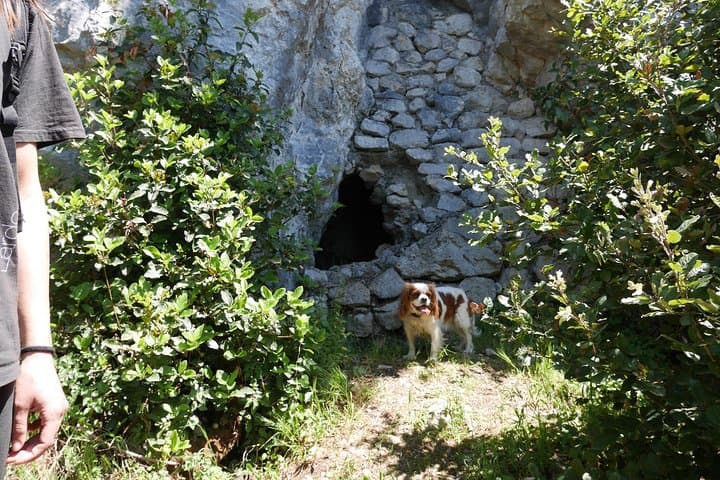A good shelter