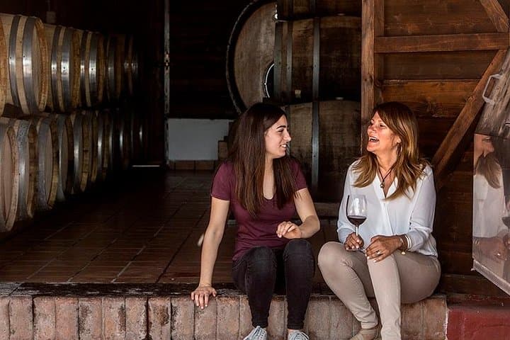 Vesuvio Gran cono + Wine Tasting & Lunch + Transfer from Naples