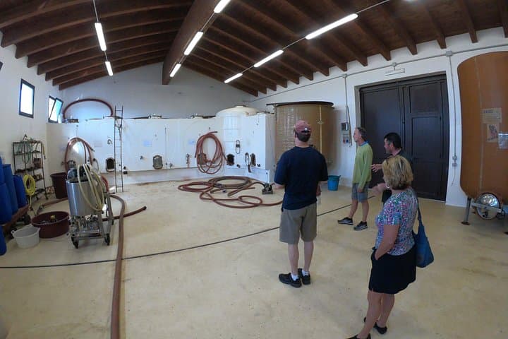Small-Group Food and Wine Tour from Cagliari