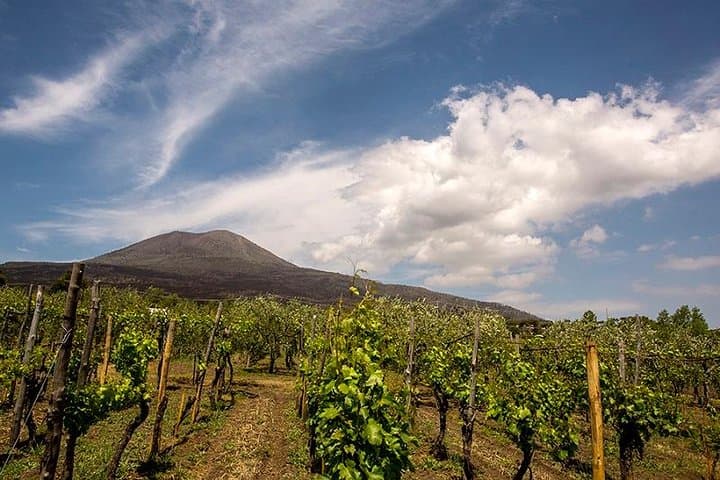 Vesuvio Gran cono + Wine Tasting & Lunch + Transfer from Naples
