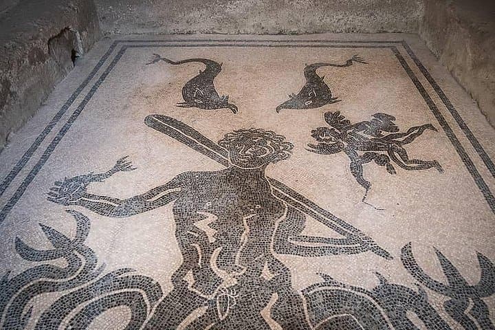 Private Guided Tour of Pompeii and Herculaneum