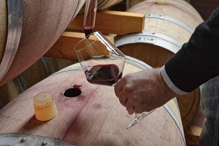 Full Day Small Group Pompeii Tour from Sorrento with Local Wine Tasting