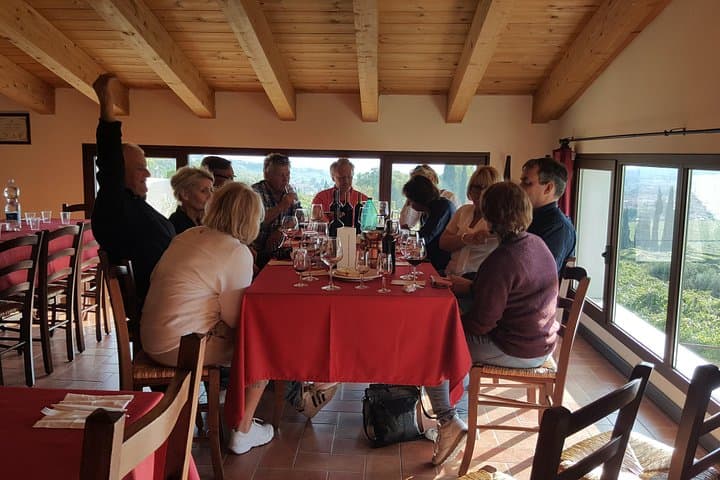 Amarone Wine Tour (all-inclusive full day with lunch and expert wine guide)