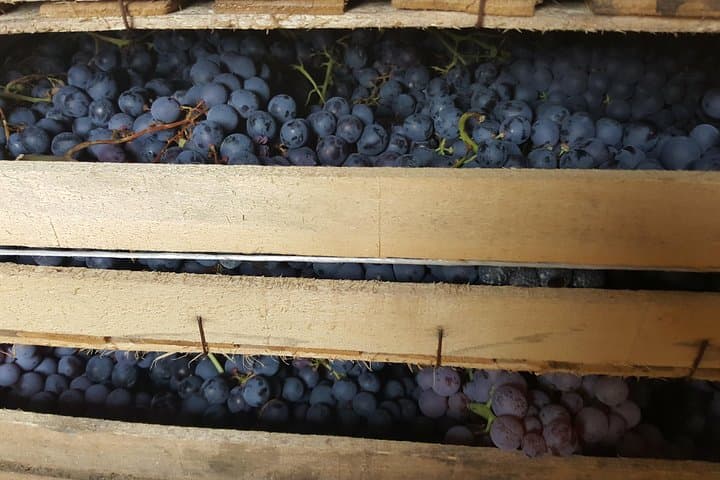 Amarone Wine Tour (all-inclusive full day with lunch and expert wine guide)