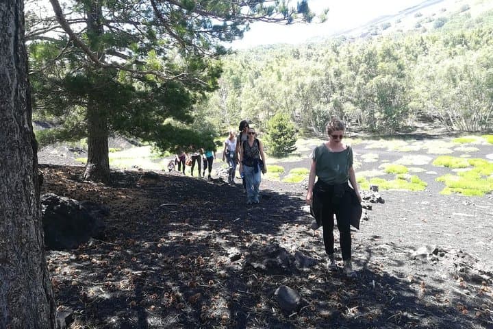 Trekking in nature