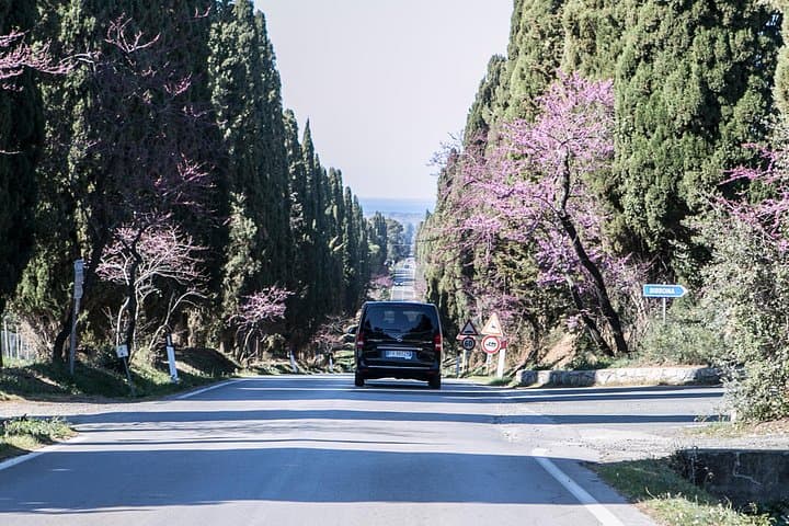 Viale dei Cipressi