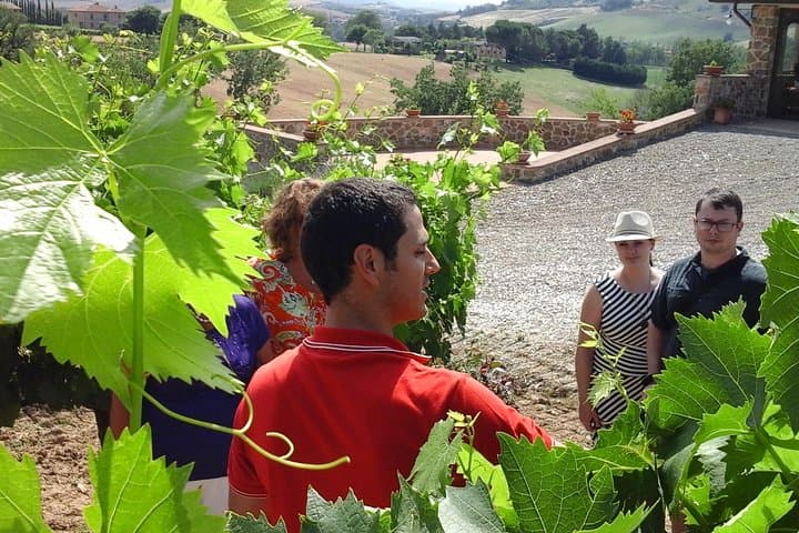 Brunello Vineyards Bus Tour
